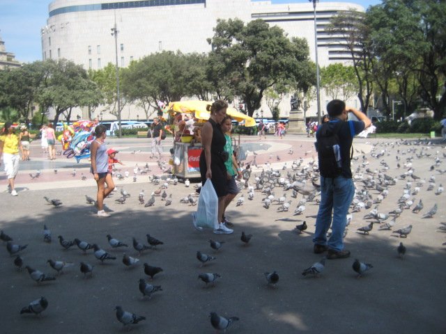 So many pigeons at Plaza Cataluyna!