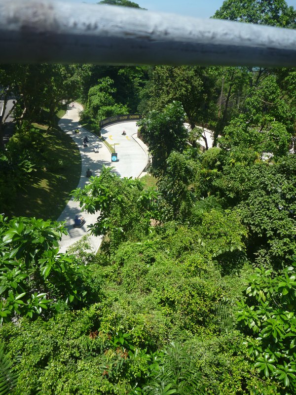 Part of the luge track at Sentosa