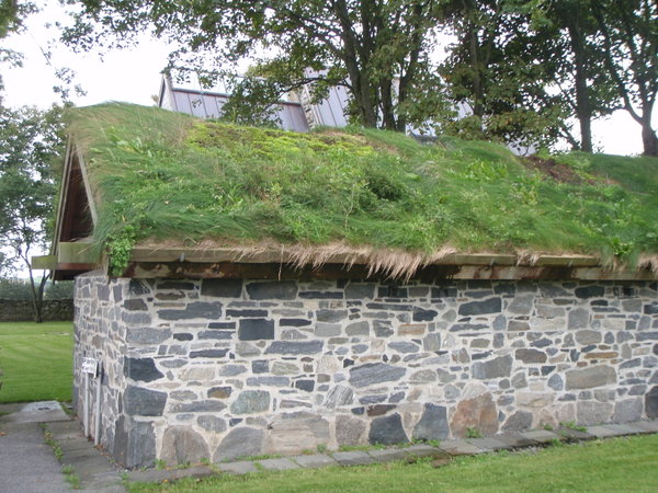 Grassy roof