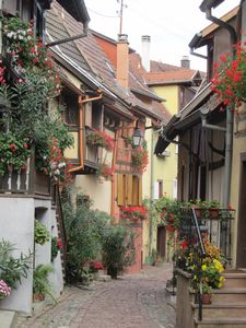 Street of Eguisheim