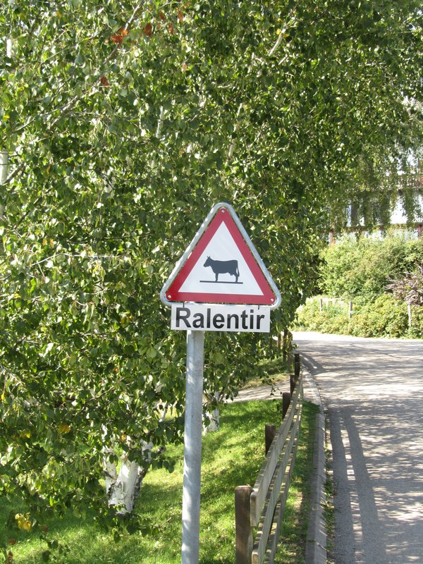 Cow crossing L'Aubier