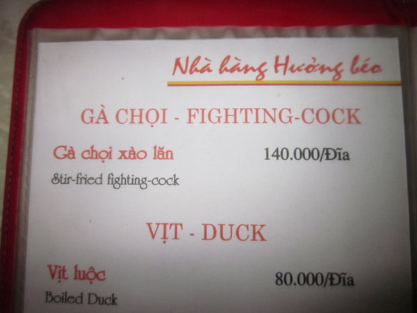 Anyone for a fighting cock?