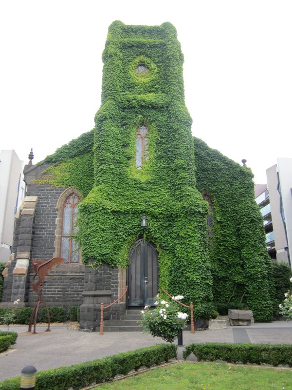 Nature taking over the church!