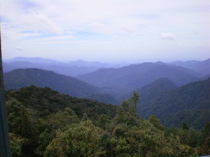 View from the top of Gunung Brinchang