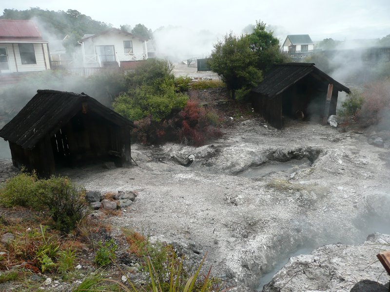 Maori Thermal village