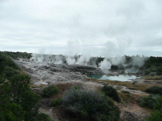 Thermal geyser Rotorua