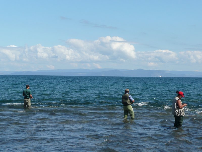 Lake Taupo trout fishing