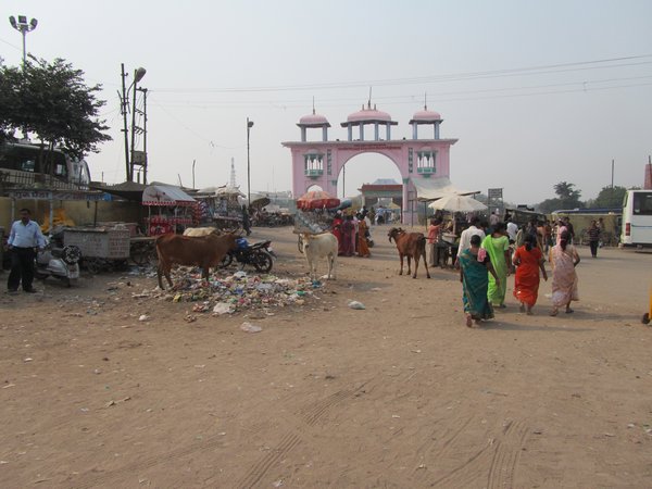 Agra, typisch Indien, Verkaufsstaende, heilige Kuehe fressen allgegenwaertigen Muell und fuer die Menschen ganz normal