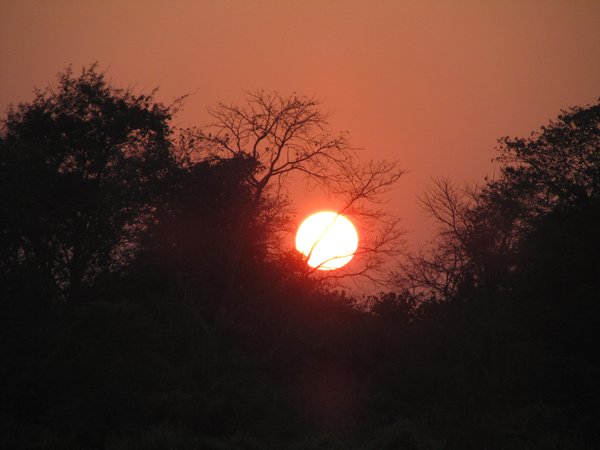 Chitwan Park Nepal, Sonnenuntergang vorm Dschungel