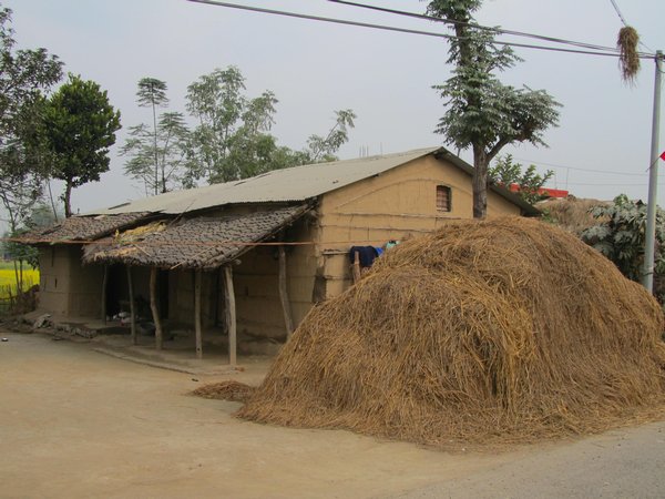 Chitwan, typisches Haus