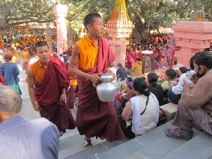 kostenloser tibetischer tee, man gewoehnt sich an alles