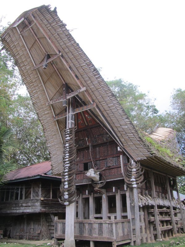 Tana Toraja, typisches Haus