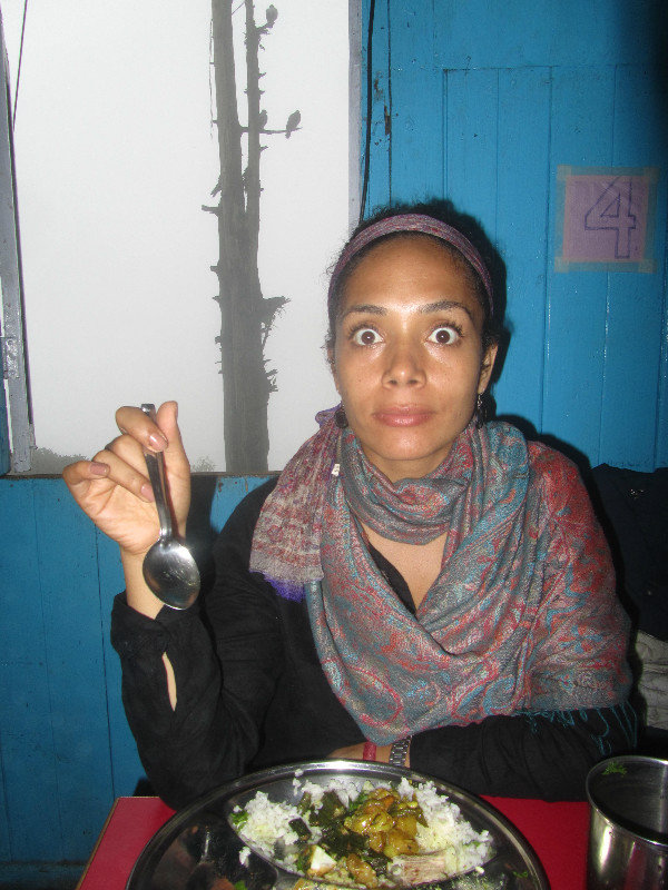 darjeeling, himalaya, auf 2000m, dayhana beim lecker thali essen