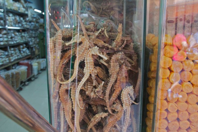 Dried Seahorses.