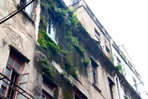 Decrepit Buildings with ferns growing out the side.