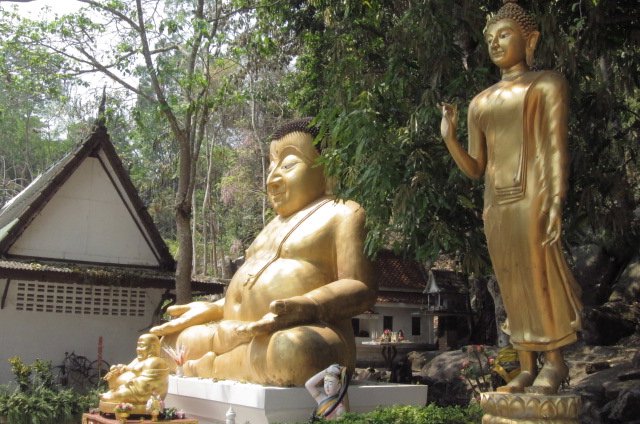 Diversity of Buddhas
