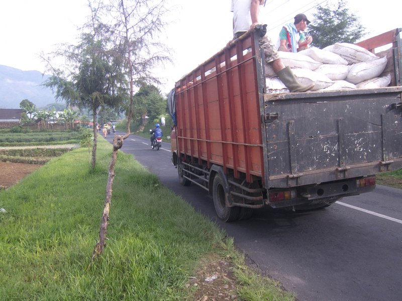 The typical Central Java mountain road