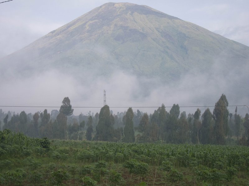 Mountain Mist (1 of 1)