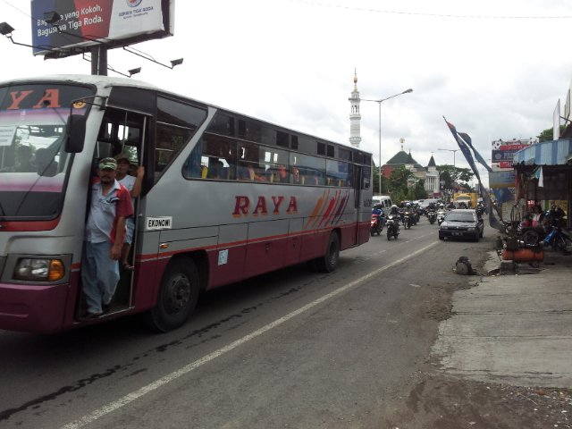 Wild Behomeths of Java's roads