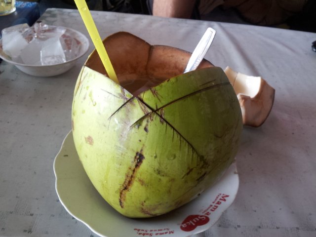 My stomach loves Papaya, I love freshy young coconut