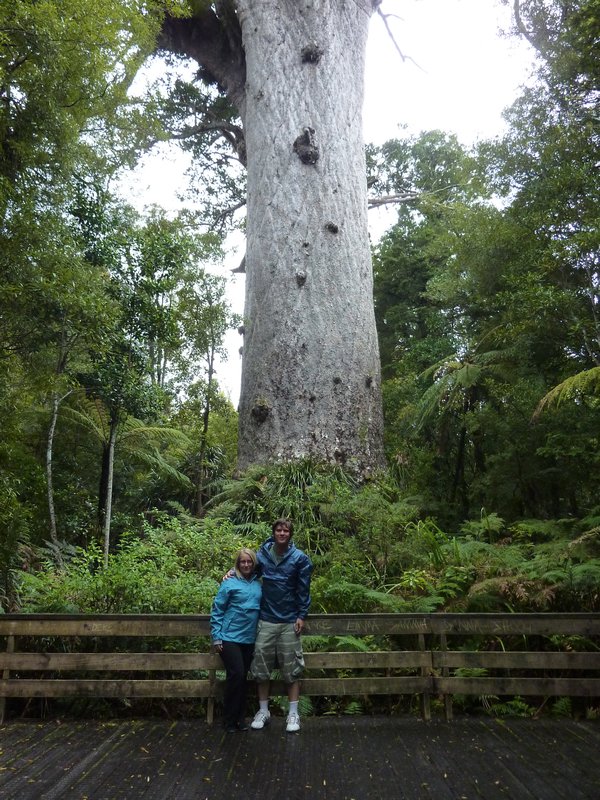 In front of 'Tane Mahuta', it was one big tree