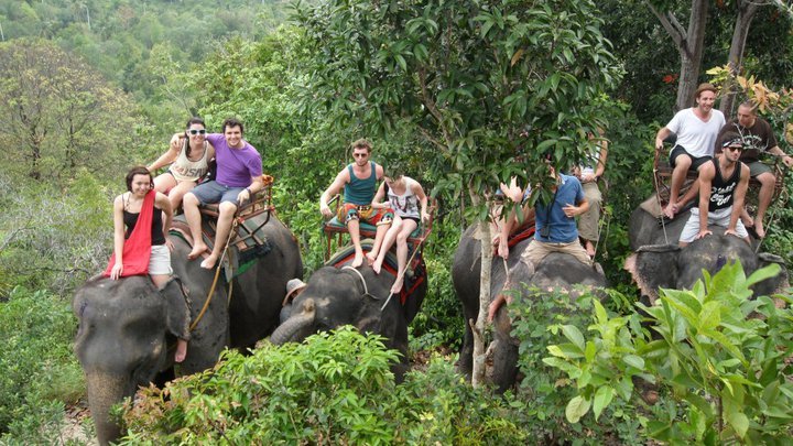 All aboard the elephants
