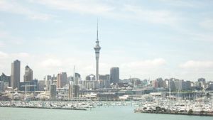 View of Auckland skyline