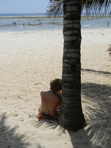 Tiwi beach, mina ja palmu