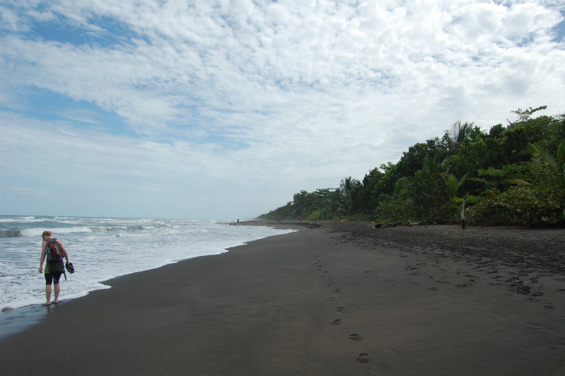 Tortuguero beach