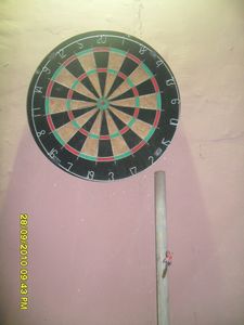 Check out my dart throwing skills...