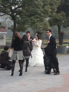 96. But we did see a Chinese couple taking photos on their wedding day