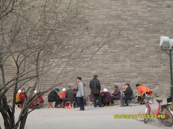 16. Older locals playing cards and chinese board games, they all bring their little chairs with them and spend the day here playing games, often betting!