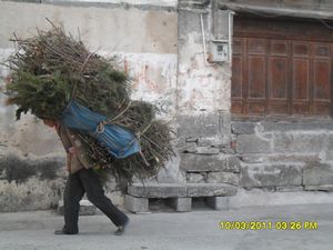 28. One of the local women of Dali, carrying a huge load on her back