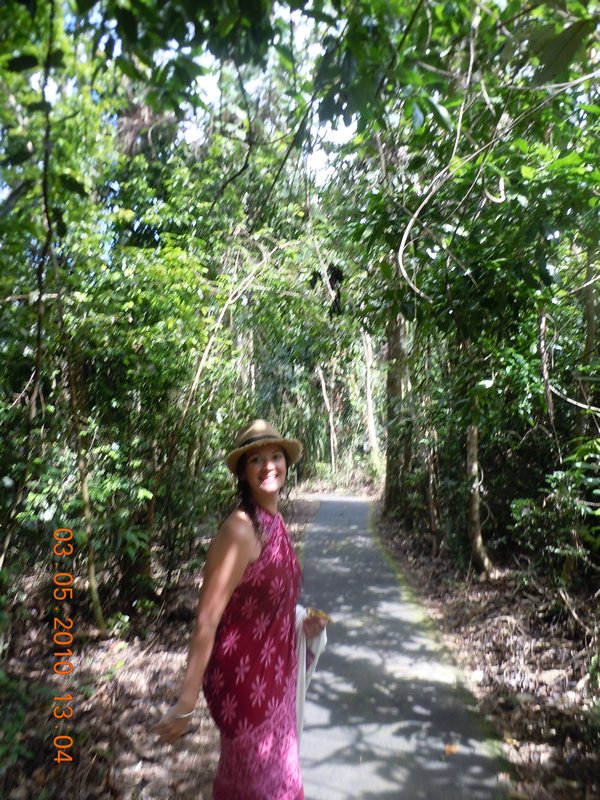 20. Wandering through the rainforest