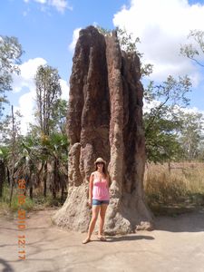 44. One of the huge Catherdarl Termite Mounds-pretty inpressive huh!