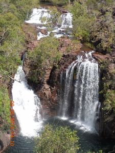 48. The stunning view of Florence Falls from the lookout above