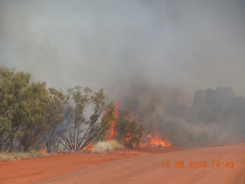 9. Hectic bushfires along the roadside...