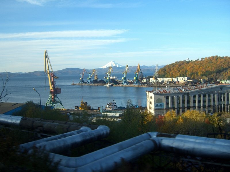 kamchatka harbour
