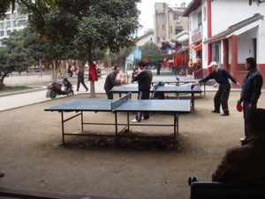 Table Tennis in the park