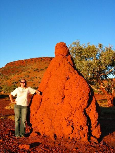 A huge termite mound!