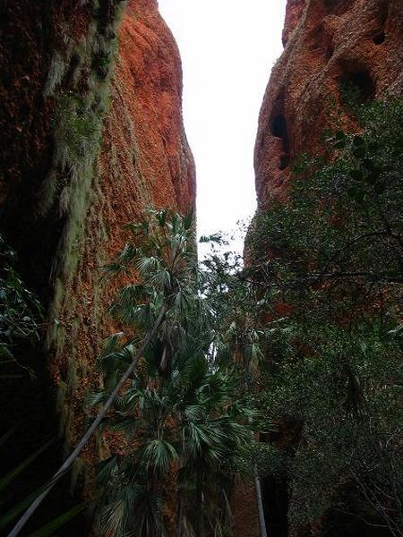 Entrance to Echidna Chasm