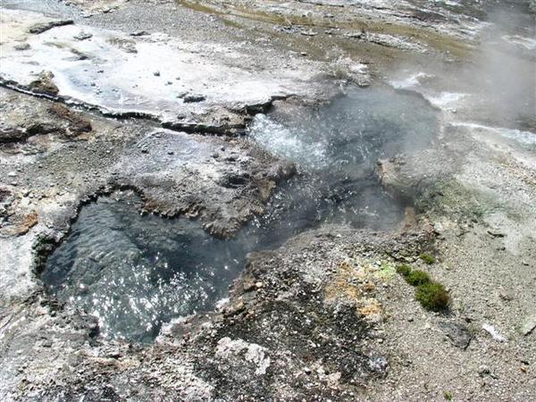 Boiling water pool