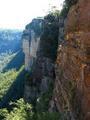 The blue mountains -  the cliff over Jamison valley