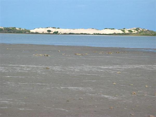 Coorong lagunes and white dunes
