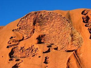 Uluru: the brain