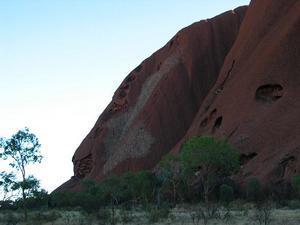Uluru: the lion king