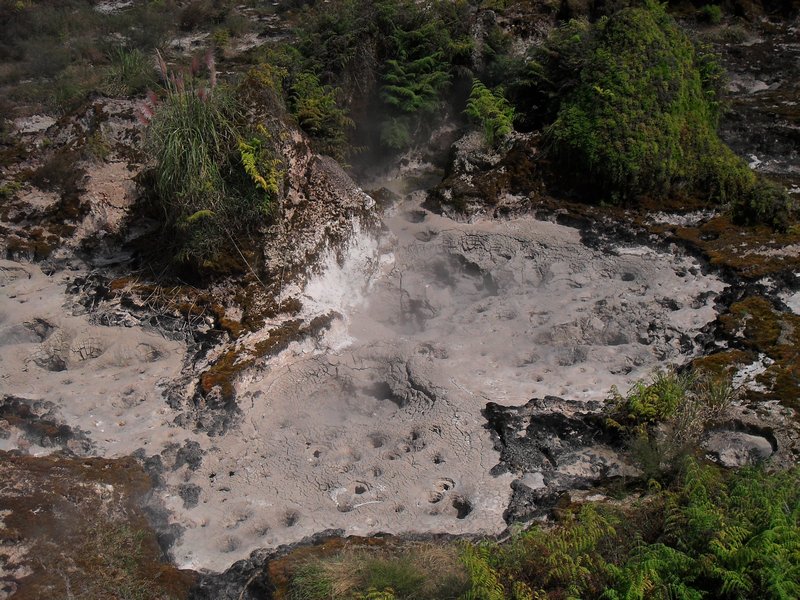Boiling Mud, Taupo