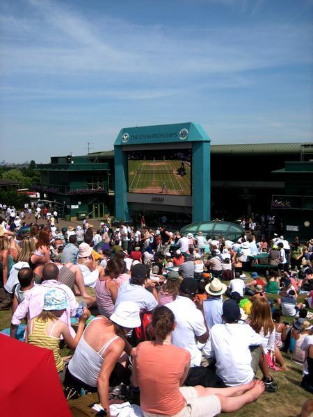 Wimbledon - The Lawn