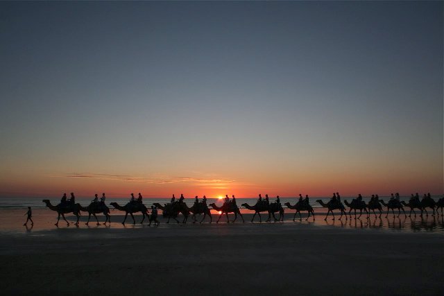 Camel Sunset Safari