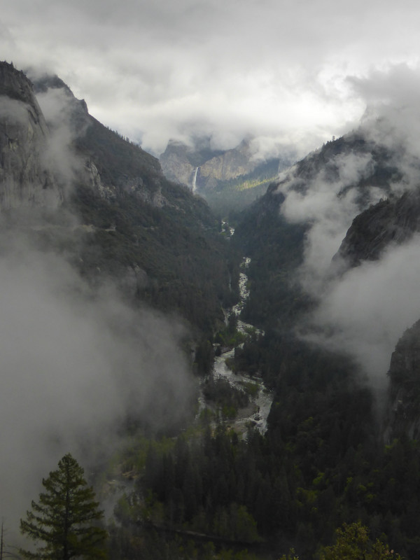 Looking into Yosemite Valley